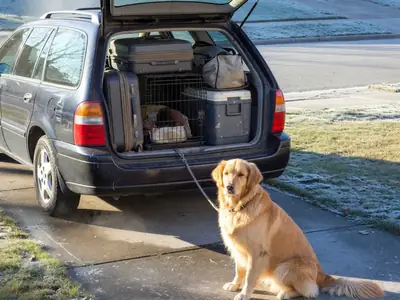 A car packed for a long winter road trip parked in a driveway with a dog crate in the open hatchback and a retriever sitting next to it on a leash tied to the bumper.